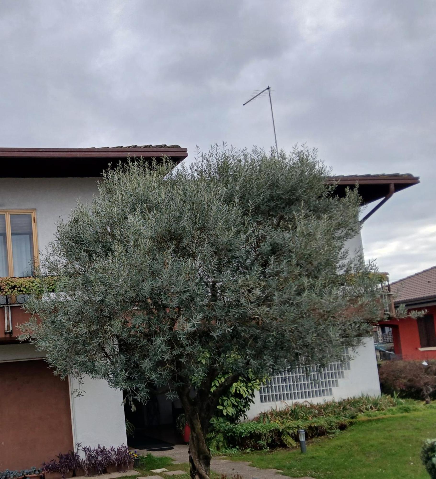 B&B Ponte Marchese Кальдоньо Экстерьер фото